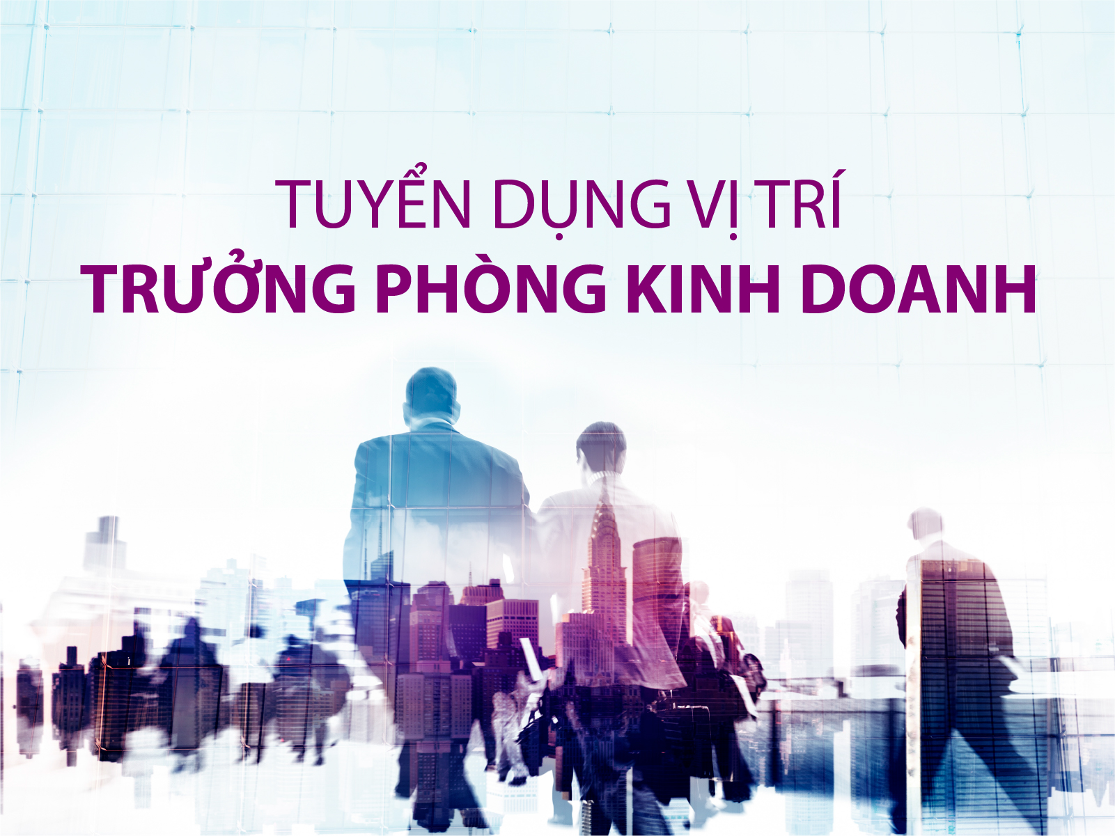 Tuyển dụng trưởng phòng kinh doanh